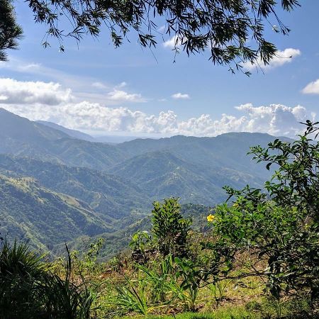 Lime Tree Farm, Blue Mountains Βίλα Mavis Bank Εξωτερικό φωτογραφία