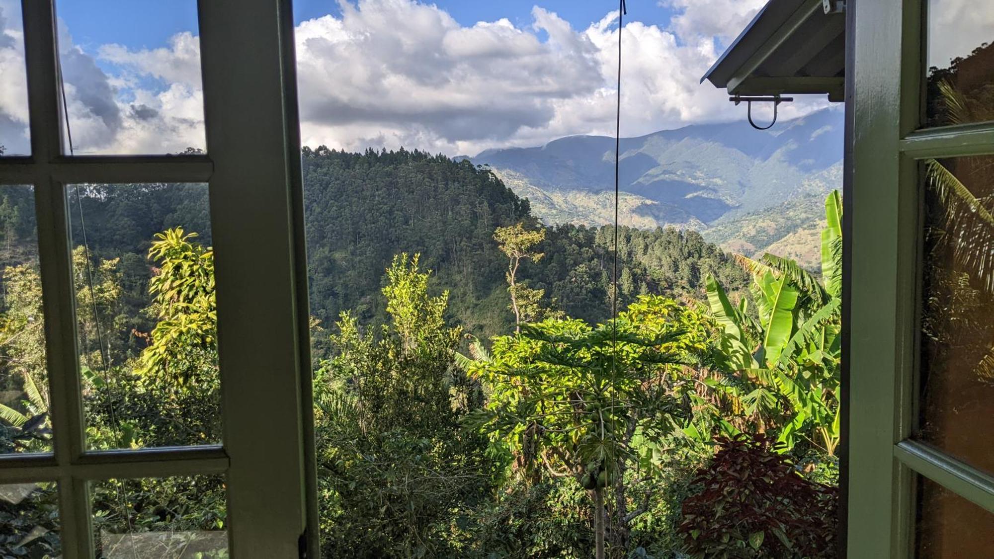 Lime Tree Farm, Blue Mountains Βίλα Mavis Bank Εξωτερικό φωτογραφία