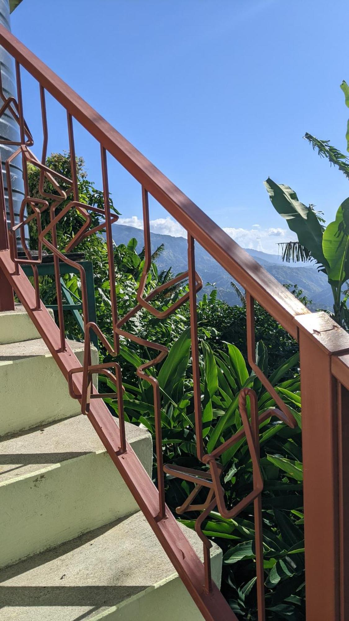 Lime Tree Farm, Blue Mountains Βίλα Mavis Bank Εξωτερικό φωτογραφία