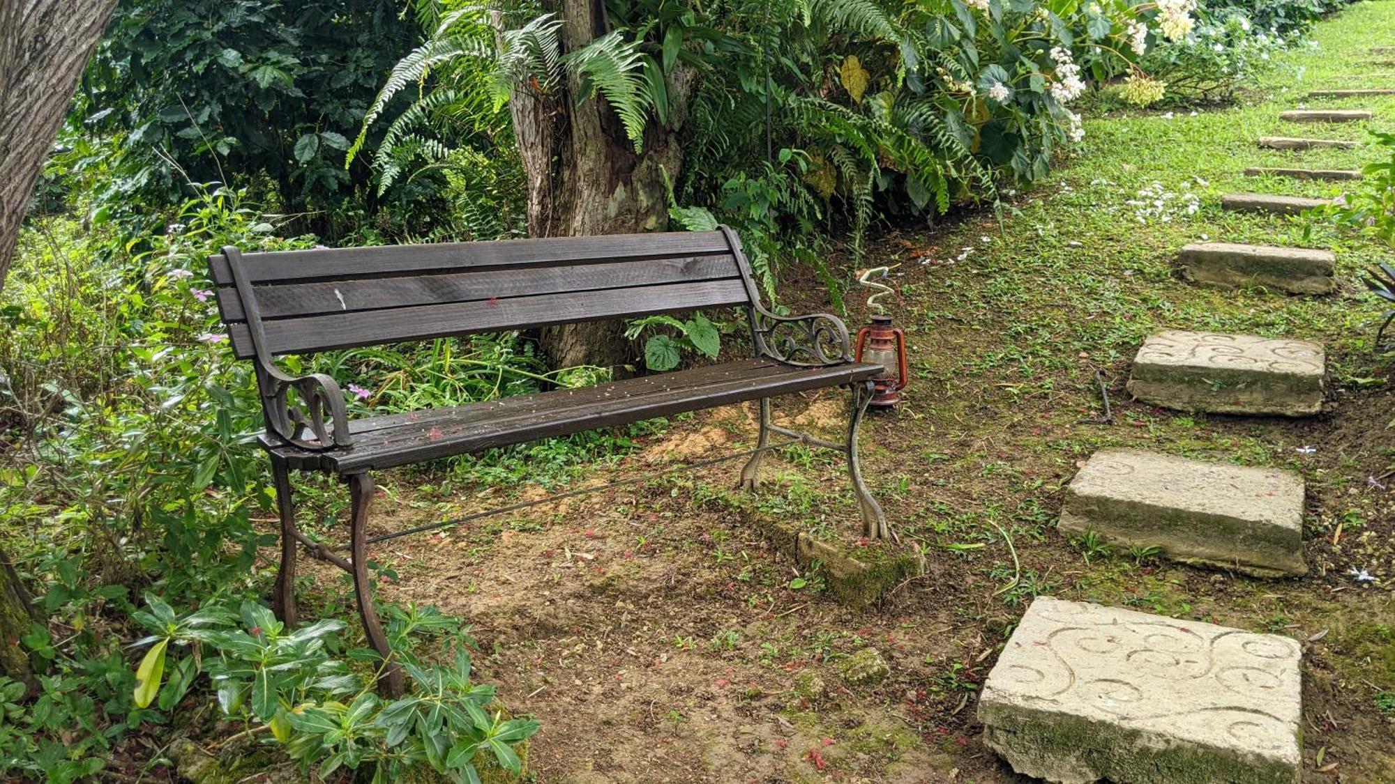 Lime Tree Farm, Blue Mountains Βίλα Mavis Bank Εξωτερικό φωτογραφία
