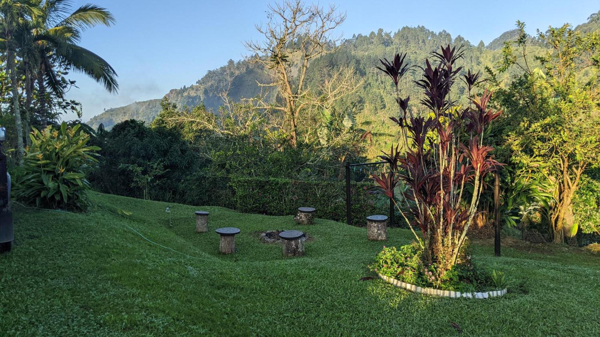 Lime Tree Farm, Blue Mountains Βίλα Mavis Bank Εξωτερικό φωτογραφία