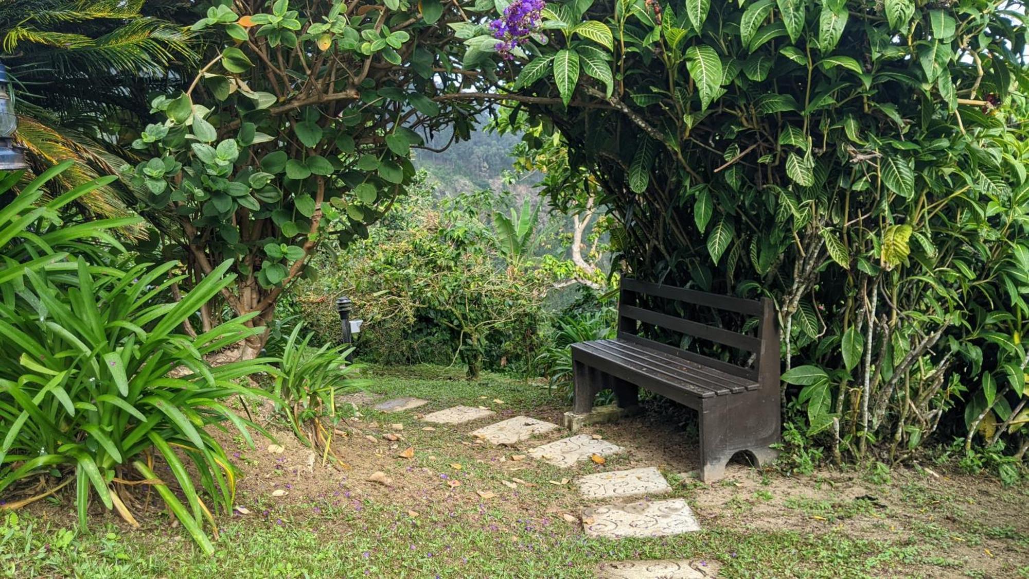Lime Tree Farm, Blue Mountains Βίλα Mavis Bank Εξωτερικό φωτογραφία