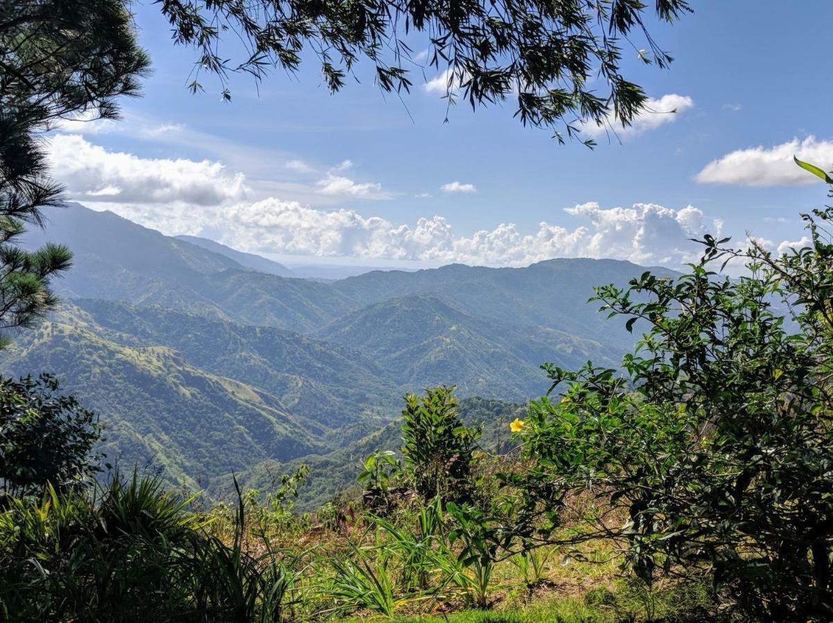 Lime Tree Farm, Blue Mountains Βίλα Mavis Bank Εξωτερικό φωτογραφία